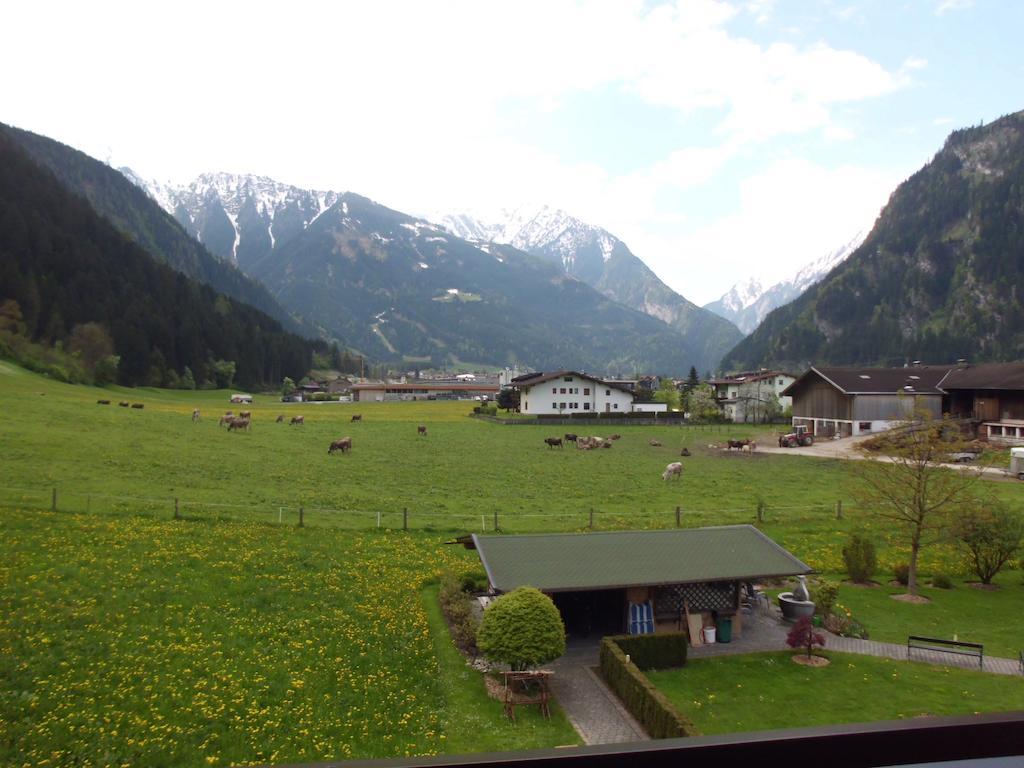 迈尔霍芬菲林拉姆旅馆公寓 客房 照片